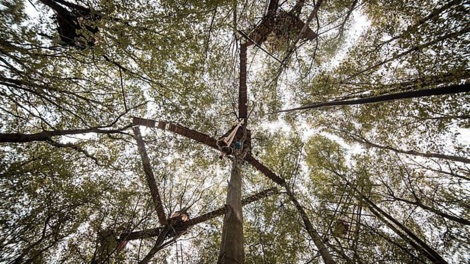 Baumhäuser während der Besetzung des Hambacher Forsts 2018. (Foto: Tim Wagner, flickr, CC BY-NC 2.0) Baumhäuser während der Besetzung des Hambacher Forsts 2018. (Foto: Tim Wagner, flickr, CC BY-NC 2.0)